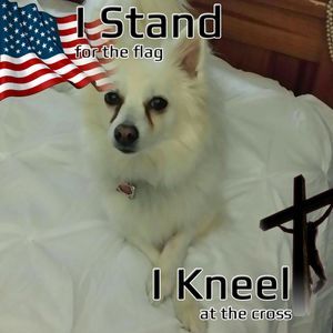 Meet your Posher, Rita